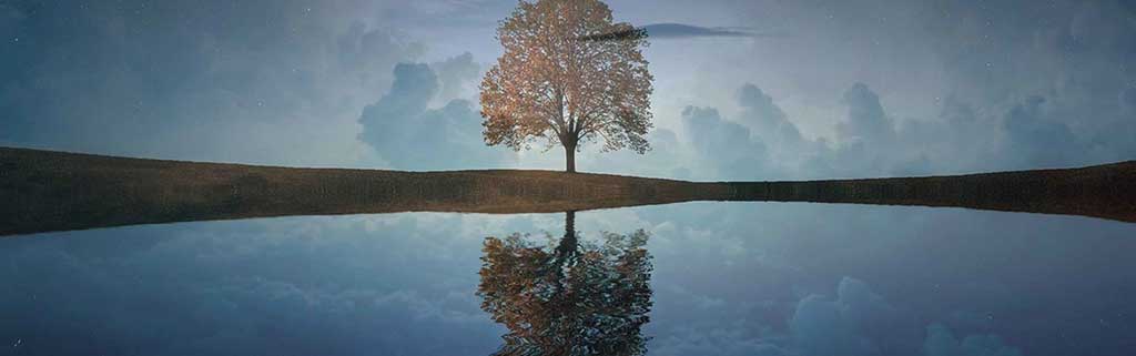 Ruhebild_Baum Ruhebild_Baum, Bild zu Kurs Innere Ruhe finden