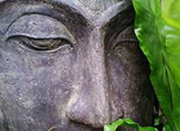 online-workshops_ankerbild, grüner buddha