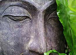 online-workshops_ankerbild online-workshops_ankerbild, grüner buddha